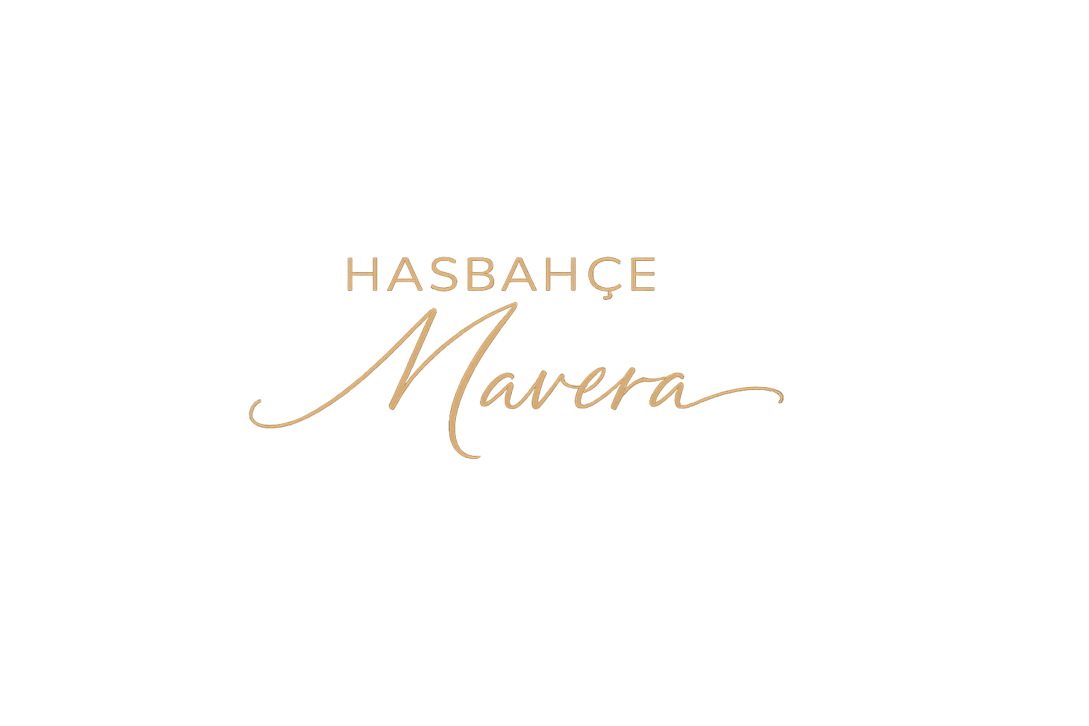 11e990e7-e335-4076-b530-2661f90ea218